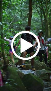 BIB:  <button type="button" onclick="openModal(27948061)" class="btn btn-primary btn-sm float-right" data-toggle="modal" data-target=".modal-high-quality">
                <i class="fa fa-download"></i> Download
                </button>