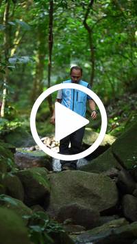 BIB:  <button type="button" onclick="openModal(27948297)" class="btn btn-primary btn-sm float-right" data-toggle="modal" data-target=".modal-high-quality">
                <i class="fa fa-download"></i> Download
                </button>