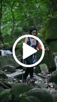 BIB:  <button type="button" onclick="openModal(27946790)" class="btn btn-primary btn-sm float-right" data-toggle="modal" data-target=".modal-high-quality">
                <i class="fa fa-download"></i> Download
                </button>