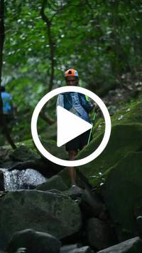 BIB:  <button type="button" onclick="openModal(27946912)" class="btn btn-primary btn-sm float-right" data-toggle="modal" data-target=".modal-high-quality">
                <i class="fa fa-download"></i> Download
                </button>