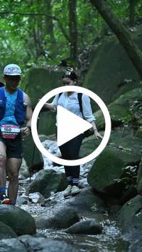 BIB:  <button type="button" onclick="openModal(27947162)" class="btn btn-primary btn-sm float-right" data-toggle="modal" data-target=".modal-high-quality">
                <i class="fa fa-download"></i> Download
                </button>