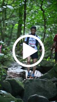 BIB:  <button type="button" onclick="openModal(27947353)" class="btn btn-primary btn-sm float-right" data-toggle="modal" data-target=".modal-high-quality">
                <i class="fa fa-download"></i> Download
                </button>