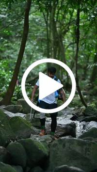 BIB:  <button type="button" onclick="openModal(27946757)" class="btn btn-primary btn-sm float-right" data-toggle="modal" data-target=".modal-high-quality">
                <i class="fa fa-download"></i> Download
                </button>