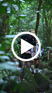 BIB:  <button type="button" onclick="openModal(27947838)" class="btn btn-primary btn-sm float-right" data-toggle="modal" data-target=".modal-high-quality">
                <i class="fa fa-download"></i> Download
                </button>