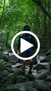 BIB:  <button type="button" onclick="openModal(27946800)" class="btn btn-primary btn-sm float-right" data-toggle="modal" data-target=".modal-high-quality">
                <i class="fa fa-download"></i> Download
                </button>