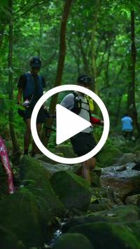 BIB:  <button type="button" onclick="openModal(27948132)" class="btn btn-primary btn-sm float-right" data-toggle="modal" data-target=".modal-high-quality">
                <i class="fa fa-download"></i> Download
                </button>