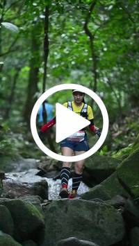 BIB:  <button type="button" onclick="openModal(27946964)" class="btn btn-primary btn-sm float-right" data-toggle="modal" data-target=".modal-high-quality">
                <i class="fa fa-download"></i> Download
                </button>