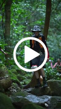 BIB:  <button type="button" onclick="openModal(27947993)" class="btn btn-primary btn-sm float-right" data-toggle="modal" data-target=".modal-high-quality">
                <i class="fa fa-download"></i> Download
                </button>