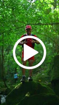 BIB:  <button type="button" onclick="openModal(27948159)" class="btn btn-primary btn-sm float-right" data-toggle="modal" data-target=".modal-high-quality">
                <i class="fa fa-download"></i> Download
                </button>