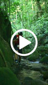 BIB:  <button type="button" onclick="openModal(27948197)" class="btn btn-primary btn-sm float-right" data-toggle="modal" data-target=".modal-high-quality">
                <i class="fa fa-download"></i> Download
                </button>