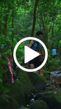 BIB:  <button type="button" onclick="openModal(27948134)" class="btn btn-primary btn-sm float-right" data-toggle="modal" data-target=".modal-high-quality">
                <i class="fa fa-download"></i> Download
                </button>