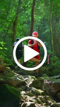 BIB:  <button type="button" onclick="openModal(27948185)" class="btn btn-primary btn-sm float-right" data-toggle="modal" data-target=".modal-high-quality">
                <i class="fa fa-download"></i> Download
                </button>