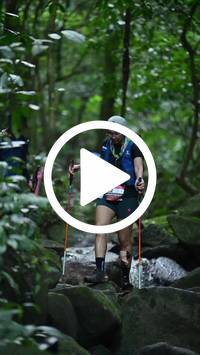 BIB:  <button type="button" onclick="openModal(27946803)" class="btn btn-primary btn-sm float-right" data-toggle="modal" data-target=".modal-high-quality">
                <i class="fa fa-download"></i> Download
                </button>