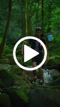 BIB:  <button type="button" onclick="openModal(27948165)" class="btn btn-primary btn-sm float-right" data-toggle="modal" data-target=".modal-high-quality">
                <i class="fa fa-download"></i> Download
                </button>