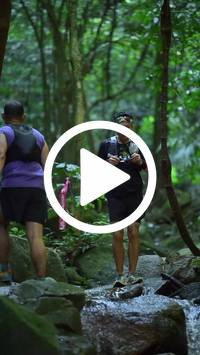 BIB:  <button type="button" onclick="openModal(27948079)" class="btn btn-primary btn-sm float-right" data-toggle="modal" data-target=".modal-high-quality">
                <i class="fa fa-download"></i> Download
                </button>