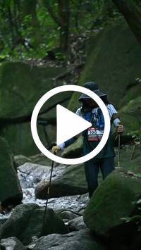 BIB:  <button type="button" onclick="openModal(27946948)" class="btn btn-primary btn-sm float-right" data-toggle="modal" data-target=".modal-high-quality">
                <i class="fa fa-download"></i> Download
                </button>