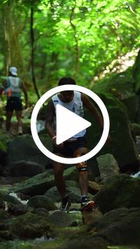 BIB:  <button type="button" onclick="openModal(27948286)" class="btn btn-primary btn-sm float-right" data-toggle="modal" data-target=".modal-high-quality">
                <i class="fa fa-download"></i> Download
                </button>