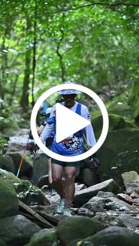 BIB:  <button type="button" onclick="openModal(27947445)" class="btn btn-primary btn-sm float-right" data-toggle="modal" data-target=".modal-high-quality">
                <i class="fa fa-download"></i> Download
                </button>