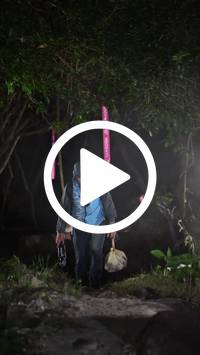 BIB:  <button type="button" onclick="openModal(27946387)" class="btn btn-primary btn-sm float-right" data-toggle="modal" data-target=".modal-high-quality">
                <i class="fa fa-download"></i> Download
                </button>