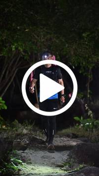 BIB:  <button type="button" onclick="openModal(27946407)" class="btn btn-primary btn-sm float-right" data-toggle="modal" data-target=".modal-high-quality">
                <i class="fa fa-download"></i> Download
                </button>