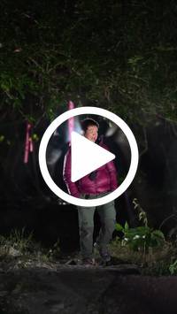 BIB:  <button type="button" onclick="openModal(27946405)" class="btn btn-primary btn-sm float-right" data-toggle="modal" data-target=".modal-high-quality">
                <i class="fa fa-download"></i> Download
                </button>