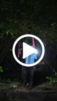 BIB:  <button type="button" onclick="openModal(27946397)" class="btn btn-primary btn-sm float-right" data-toggle="modal" data-target=".modal-high-quality">
                <i class="fa fa-download"></i> Download
                </button>