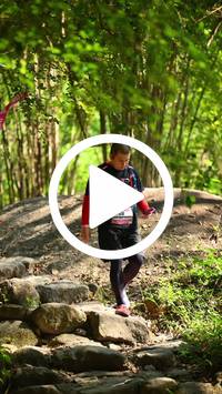 BIB:  <button type="button" onclick="openModal(27948900)" class="btn btn-primary btn-sm float-right" data-toggle="modal" data-target=".modal-high-quality">
                <i class="fa fa-download"></i> Download
                </button>