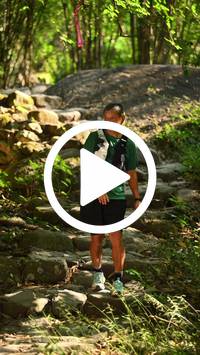 BIB:  <button type="button" onclick="openModal(27949418)" class="btn btn-primary btn-sm float-right" data-toggle="modal" data-target=".modal-high-quality">
                <i class="fa fa-download"></i> Download
                </button>