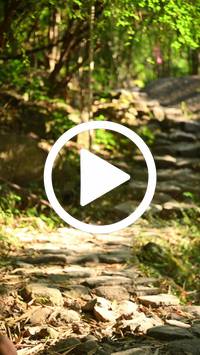 BIB:  <button type="button" onclick="openModal(27949366)" class="btn btn-primary btn-sm float-right" data-toggle="modal" data-target=".modal-high-quality">
                <i class="fa fa-download"></i> Download
                </button>