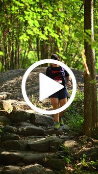 BIB:  <button type="button" onclick="openModal(27949450)" class="btn btn-primary btn-sm float-right" data-toggle="modal" data-target=".modal-high-quality">
                <i class="fa fa-download"></i> Download
                </button>