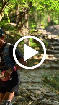 BIB:  <button type="button" onclick="openModal(27950257)" class="btn btn-primary btn-sm float-right" data-toggle="modal" data-target=".modal-high-quality">
                <i class="fa fa-download"></i> Download
                </button>