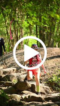 BIB:  <button type="button" onclick="openModal(27948951)" class="btn btn-primary btn-sm float-right" data-toggle="modal" data-target=".modal-high-quality">
                <i class="fa fa-download"></i> Download
                </button>