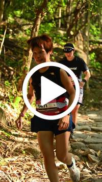 BIB:  <button type="button" onclick="openModal(27949823)" class="btn btn-primary btn-sm float-right" data-toggle="modal" data-target=".modal-high-quality">
                <i class="fa fa-download"></i> Download
                </button>