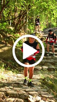 BIB:  <button type="button" onclick="openModal(27949647)" class="btn btn-primary btn-sm float-right" data-toggle="modal" data-target=".modal-high-quality">
                <i class="fa fa-download"></i> Download
                </button>