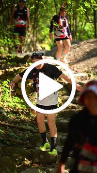 BIB:  <button type="button" onclick="openModal(27949217)" class="btn btn-primary btn-sm float-right" data-toggle="modal" data-target=".modal-high-quality">
                <i class="fa fa-download"></i> Download
                </button>