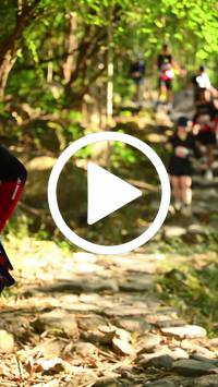 BIB:  <button type="button" onclick="openModal(27949511)" class="btn btn-primary btn-sm float-right" data-toggle="modal" data-target=".modal-high-quality">
                <i class="fa fa-download"></i> Download
                </button>