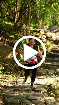 BIB:  <button type="button" onclick="openModal(27949084)" class="btn btn-primary btn-sm float-right" data-toggle="modal" data-target=".modal-high-quality">
                <i class="fa fa-download"></i> Download
                </button>