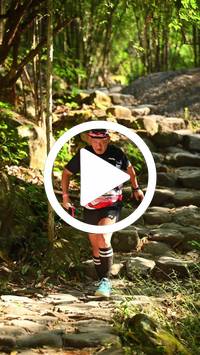 BIB:  <button type="button" onclick="openModal(27949415)" class="btn btn-primary btn-sm float-right" data-toggle="modal" data-target=".modal-high-quality">
                <i class="fa fa-download"></i> Download
                </button>