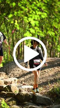 BIB:  <button type="button" onclick="openModal(27949177)" class="btn btn-primary btn-sm float-right" data-toggle="modal" data-target=".modal-high-quality">
                <i class="fa fa-download"></i> Download
                </button>