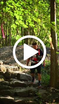 BIB:  <button type="button" onclick="openModal(27949404)" class="btn btn-primary btn-sm float-right" data-toggle="modal" data-target=".modal-high-quality">
                <i class="fa fa-download"></i> Download
                </button>