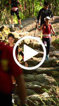 BIB:  <button type="button" onclick="openModal(27949117)" class="btn btn-primary btn-sm float-right" data-toggle="modal" data-target=".modal-high-quality">
                <i class="fa fa-download"></i> Download
                </button>