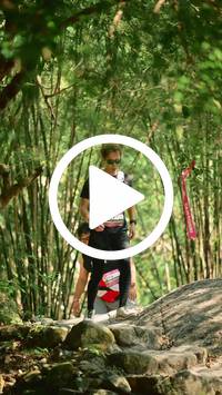 BIB:  <button type="button" onclick="openModal(27948500)" class="btn btn-primary btn-sm float-right" data-toggle="modal" data-target=".modal-high-quality">
                <i class="fa fa-download"></i> Download
                </button>