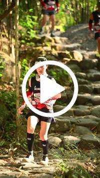 BIB:  <button type="button" onclick="openModal(27949695)" class="btn btn-primary btn-sm float-right" data-toggle="modal" data-target=".modal-high-quality">
                <i class="fa fa-download"></i> Download
                </button>