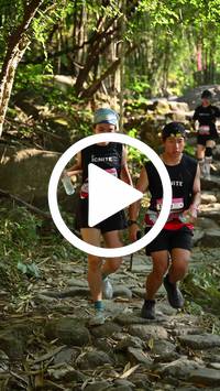 BIB:  <button type="button" onclick="openModal(27950245)" class="btn btn-primary btn-sm float-right" data-toggle="modal" data-target=".modal-high-quality">
                <i class="fa fa-download"></i> Download
                </button>