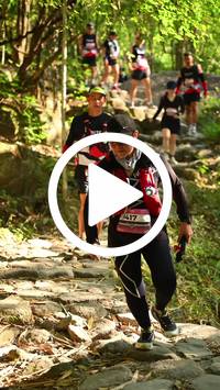 BIB:  <button type="button" onclick="openModal(27949515)" class="btn btn-primary btn-sm float-right" data-toggle="modal" data-target=".modal-high-quality">
                <i class="fa fa-download"></i> Download
                </button>