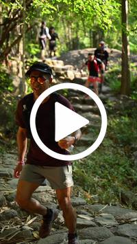 BIB:  <button type="button" onclick="openModal(27950306)" class="btn btn-primary btn-sm float-right" data-toggle="modal" data-target=".modal-high-quality">
                <i class="fa fa-download"></i> Download
                </button>