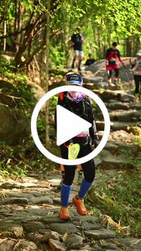 BIB:  <button type="button" onclick="openModal(27949820)" class="btn btn-primary btn-sm float-right" data-toggle="modal" data-target=".modal-high-quality">
                <i class="fa fa-download"></i> Download
                </button>