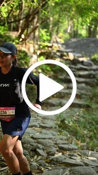 BIB:  <button type="button" onclick="openModal(27950497)" class="btn btn-primary btn-sm float-right" data-toggle="modal" data-target=".modal-high-quality">
                <i class="fa fa-download"></i> Download
                </button>