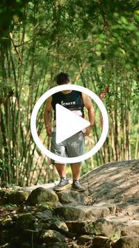 BIB:  <button type="button" onclick="openModal(27948519)" class="btn btn-primary btn-sm float-right" data-toggle="modal" data-target=".modal-high-quality">
                <i class="fa fa-download"></i> Download
                </button>