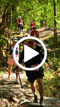 BIB:  <button type="button" onclick="openModal(27949128)" class="btn btn-primary btn-sm float-right" data-toggle="modal" data-target=".modal-high-quality">
                <i class="fa fa-download"></i> Download
                </button>